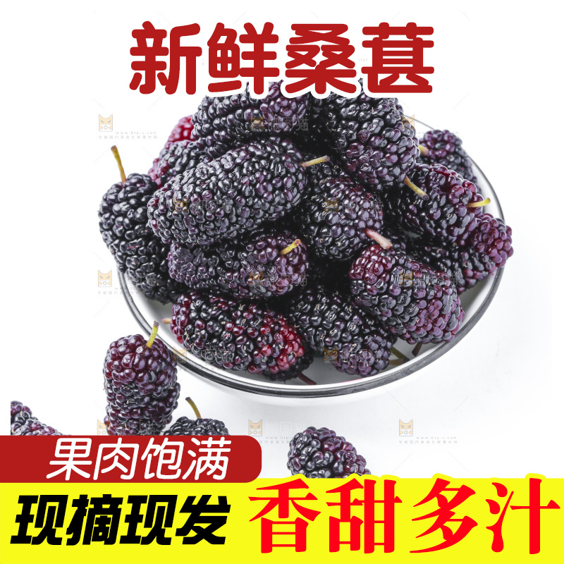 白底上放着新鲜桑葚
