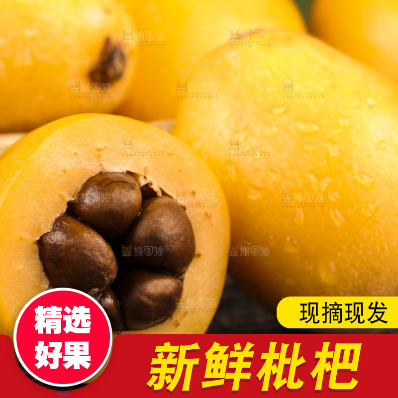 深底上的攀枝花枇杷