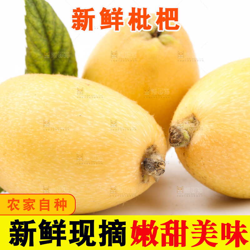 白底上放着米易枇杷
