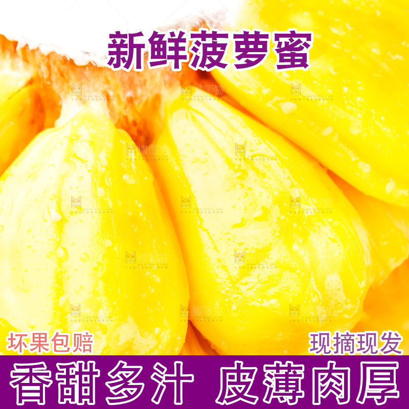 白底上的海南菠萝蜜