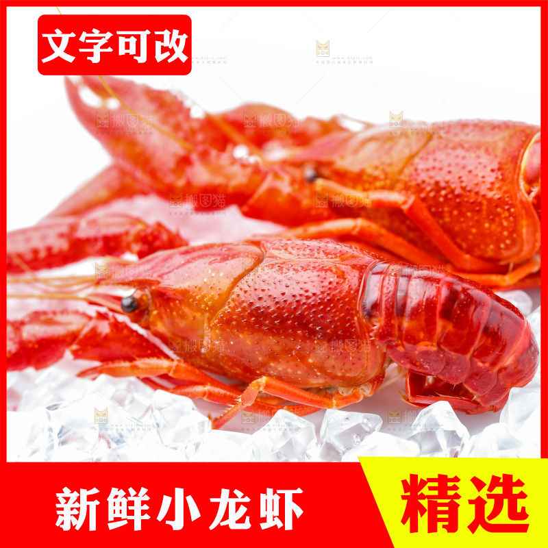 白底上放着秘制小龙虾