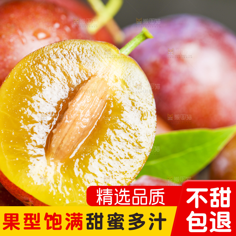 木底上的新疆西梅