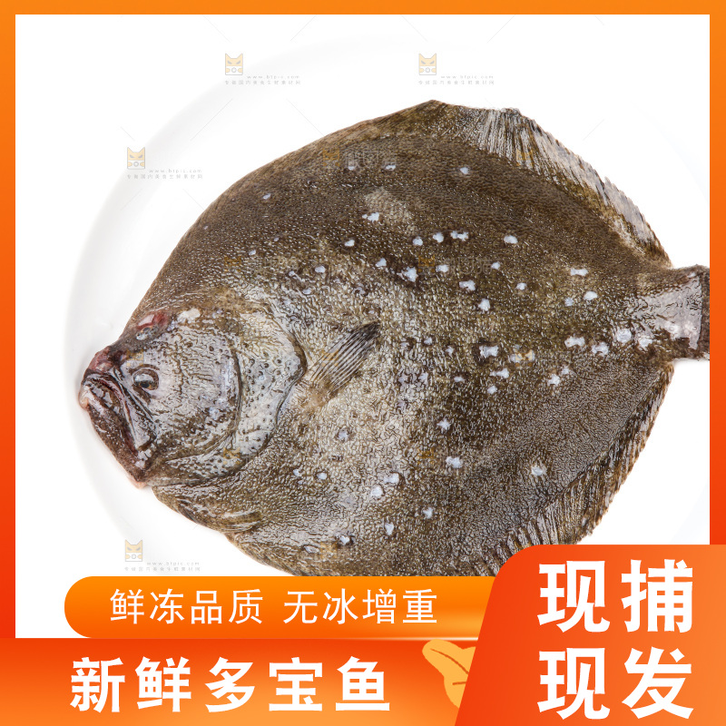 盘子里装着多宝鱼