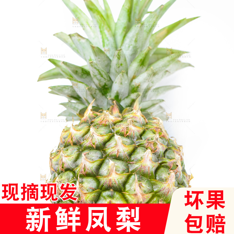 白底上的金钻凤梨
