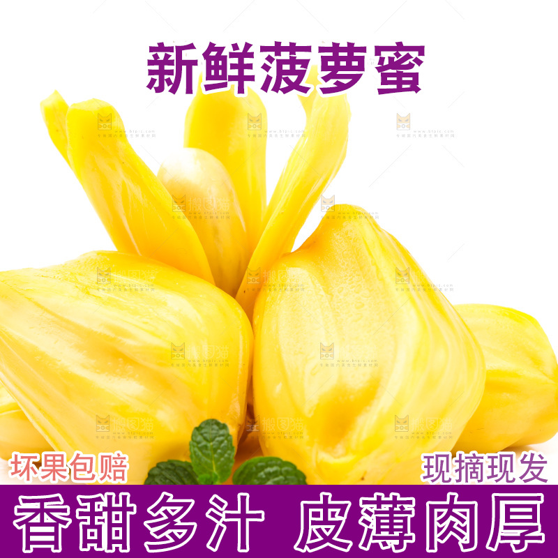 浅底上的海南菠萝蜜