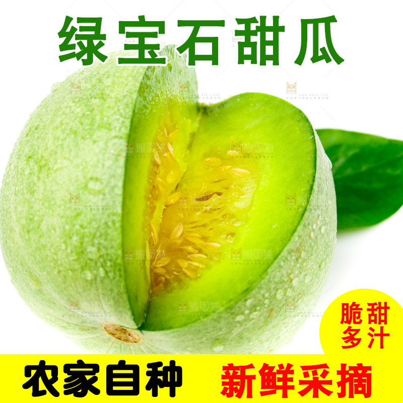 浅底上的山东绿宝石甜瓜