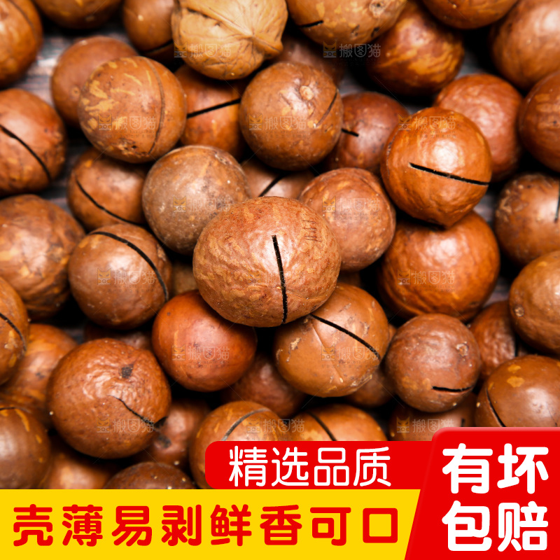 坚果纹理素材