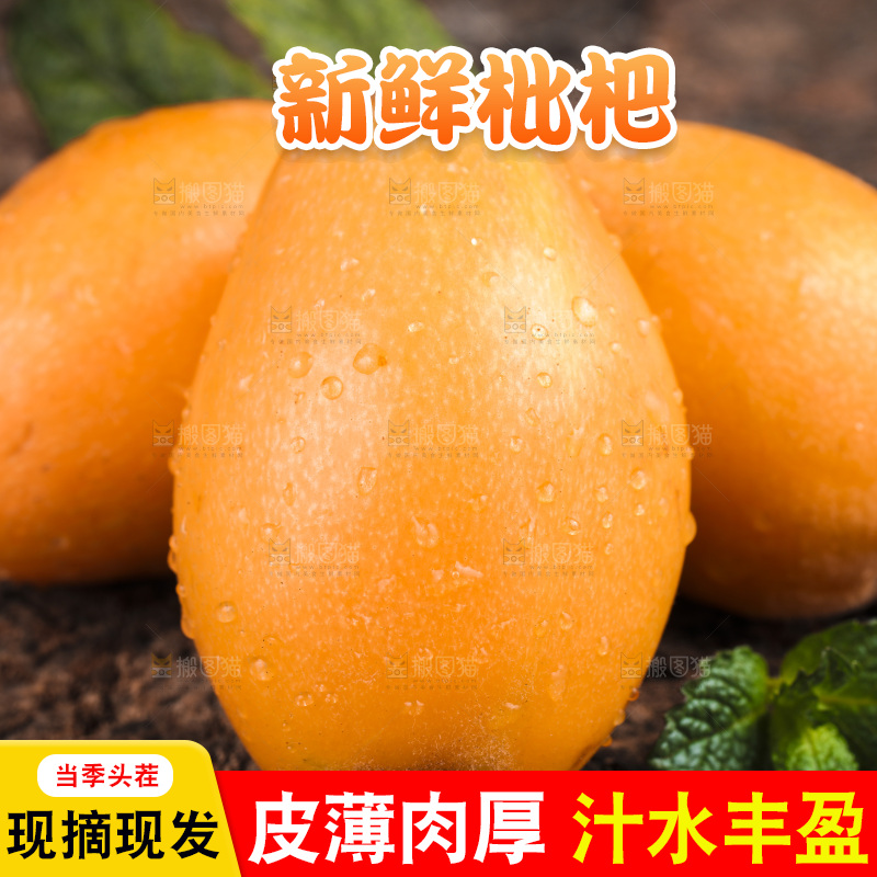 深底上的攀枝花枇杷