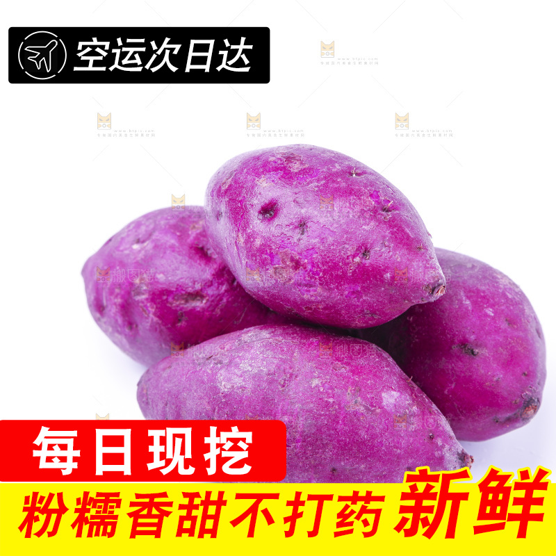 浅底上的小紫薯