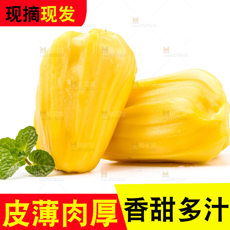 浅底上的黄肉菠萝蜜
