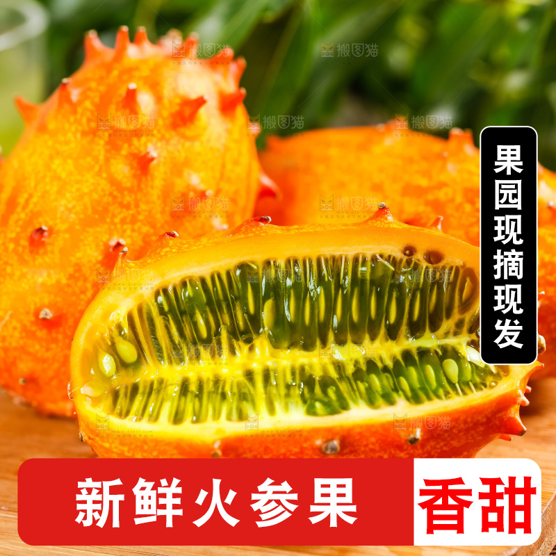 木底上摆放着海参果