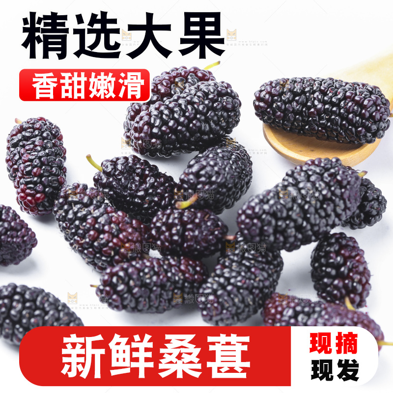 白底上放着新鲜桑葚
