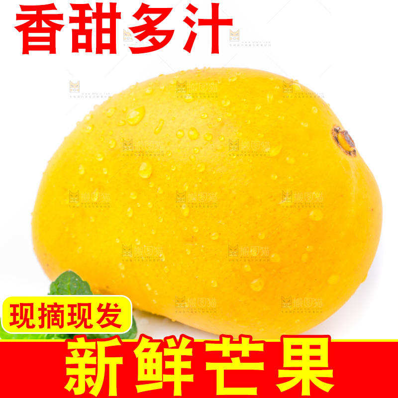 浅底上的海南小台农芒