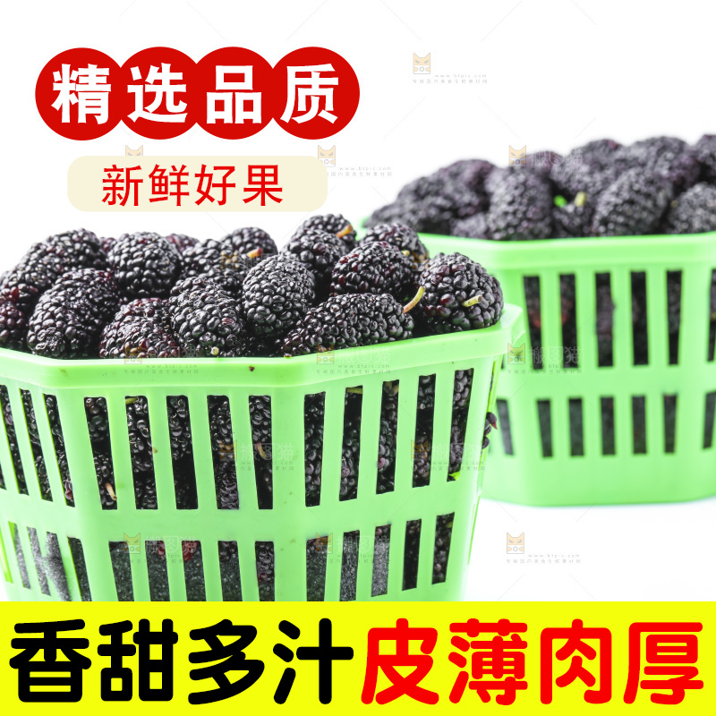 框子里装着新鲜桑葚