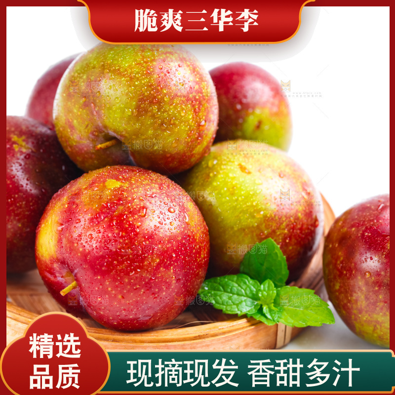 篮子里装着钱排三华李