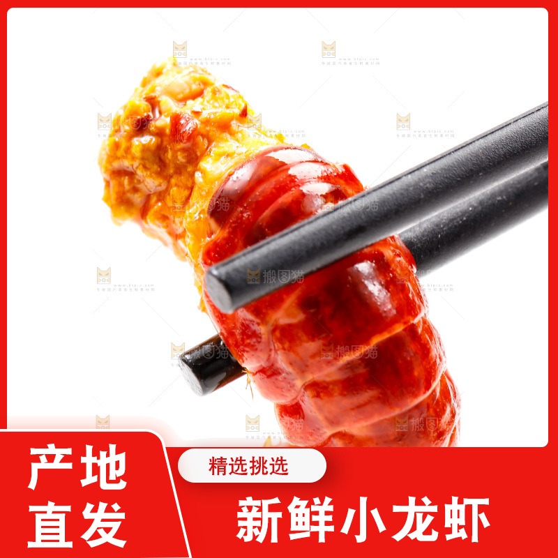 筷子上夹着龙虾尾