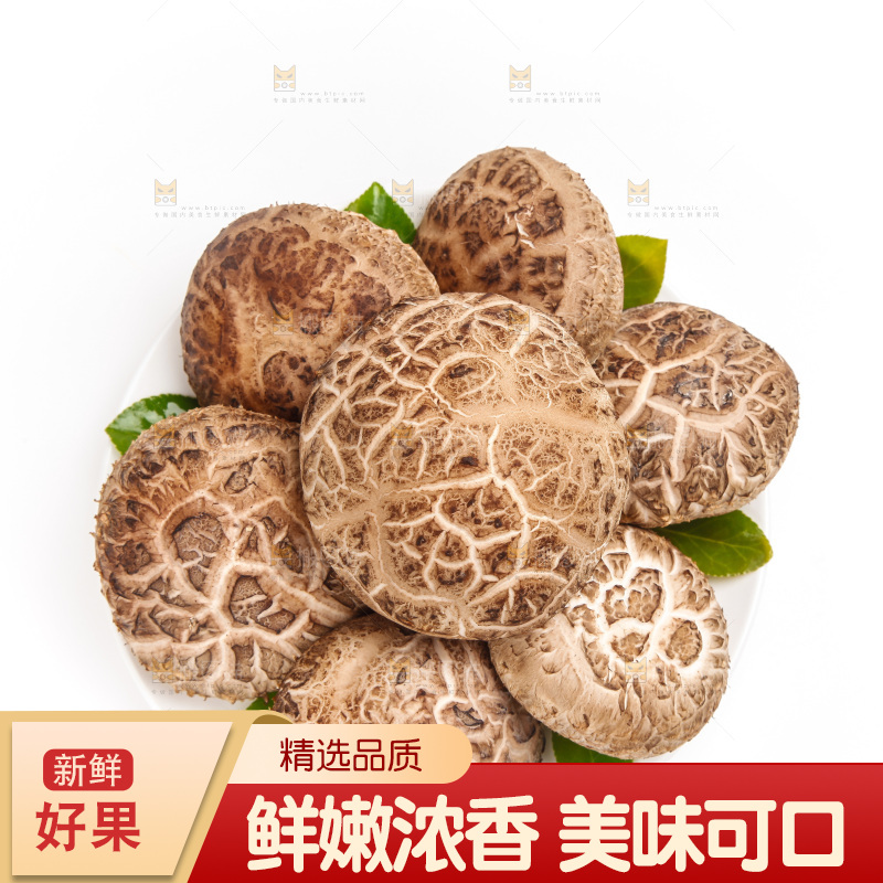 白底上放着花菇