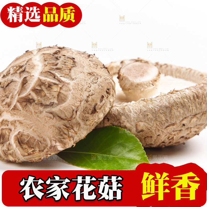白底上放着花菇