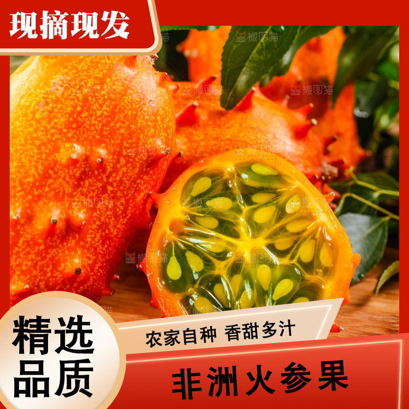 木底上摆放着海参果