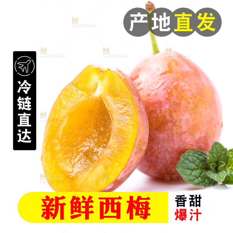 白底上的新疆法兰西西梅