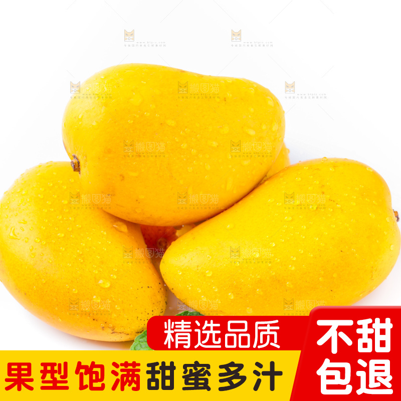 浅底上的海南小台农芒