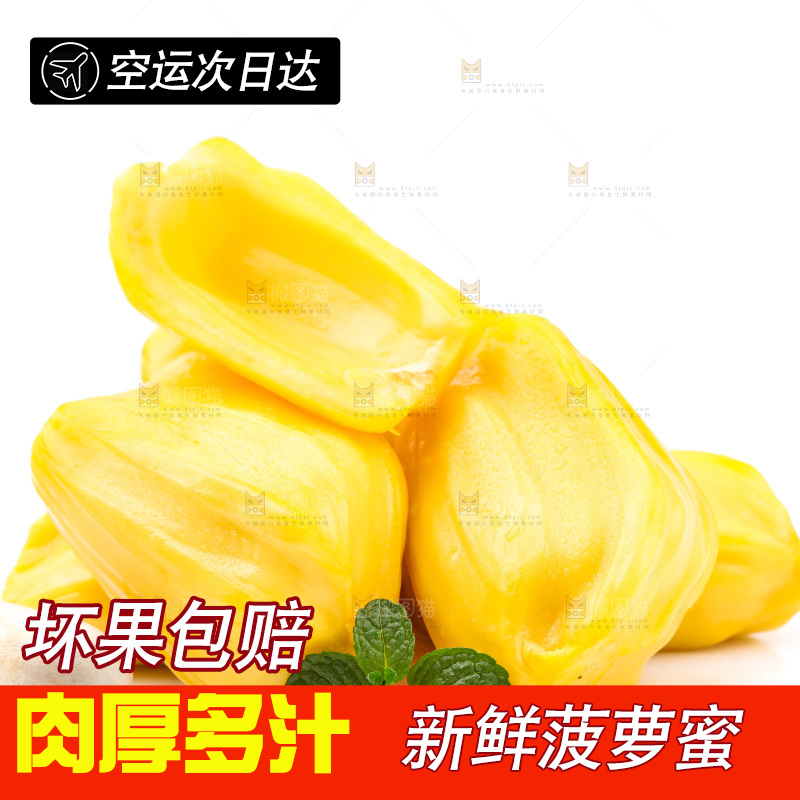 浅底上的海南菠萝蜜