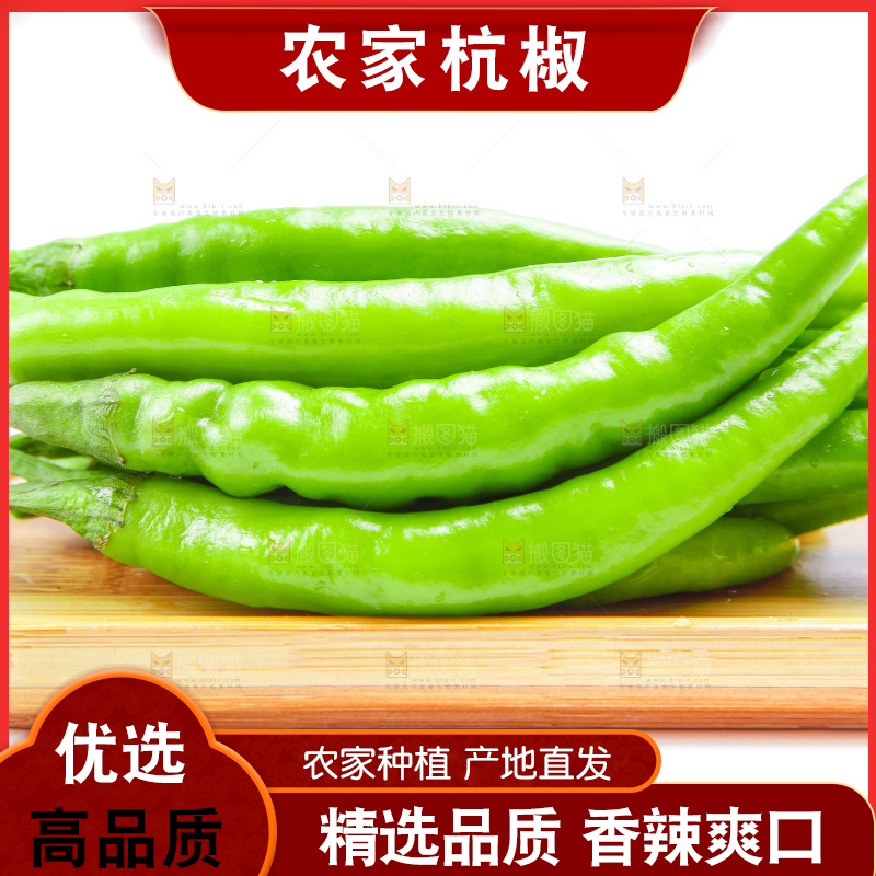 白底上放着杭椒
