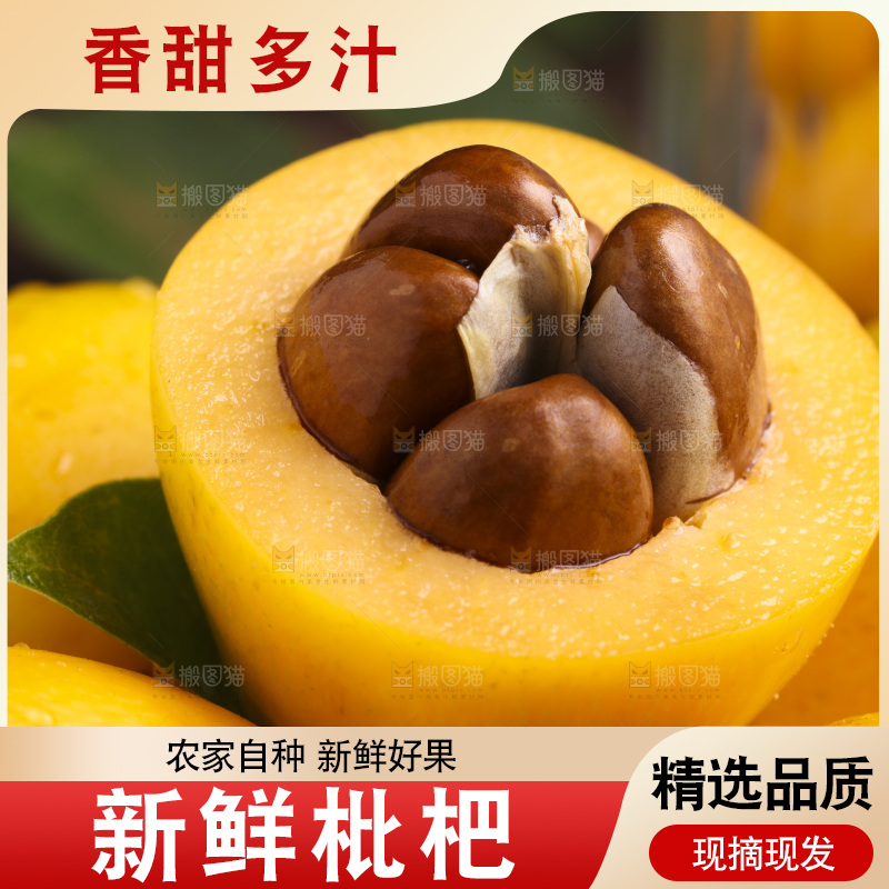 深底上的攀枝花枇杷