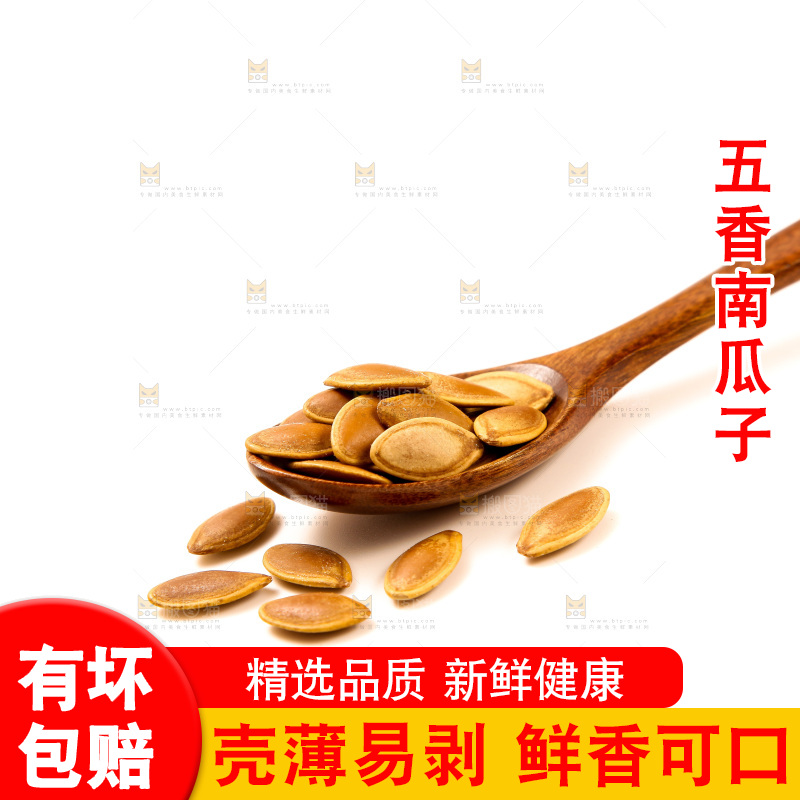 白底上的南瓜子