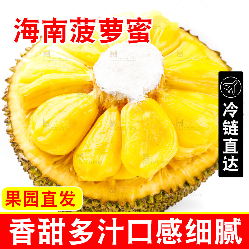 白底上的海南菠萝蜜