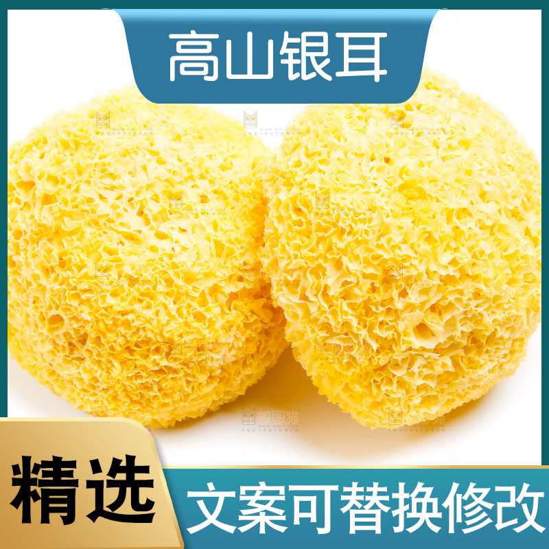 白底上放着古田银耳