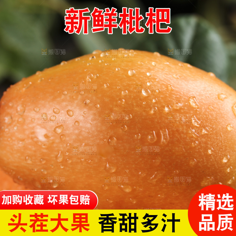 深底上的攀枝花枇杷