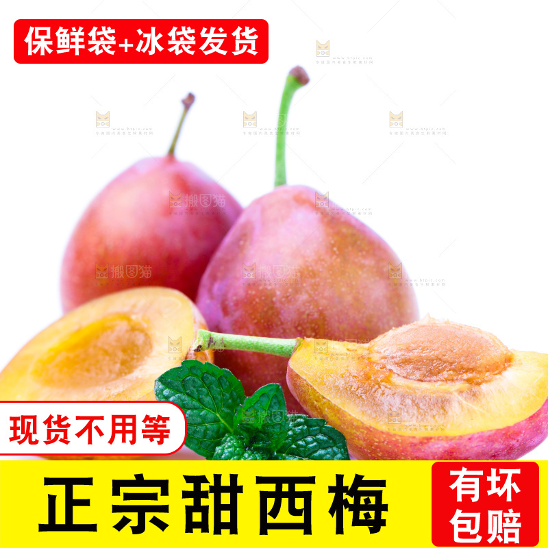 浅底上的新疆西梅