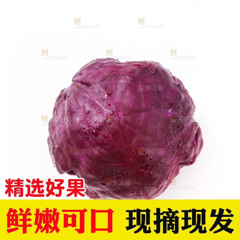 白底上放着紫包菜