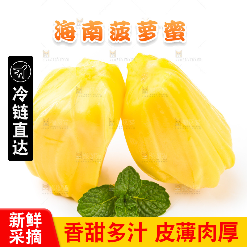 白底上的黄肉菠萝蜜