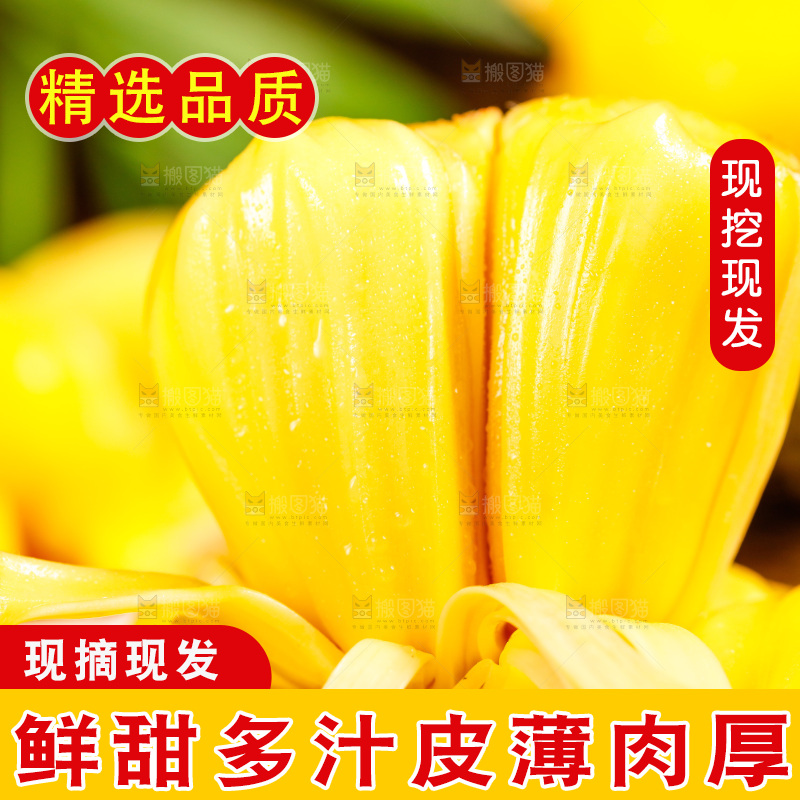垫子上的菠萝蜜