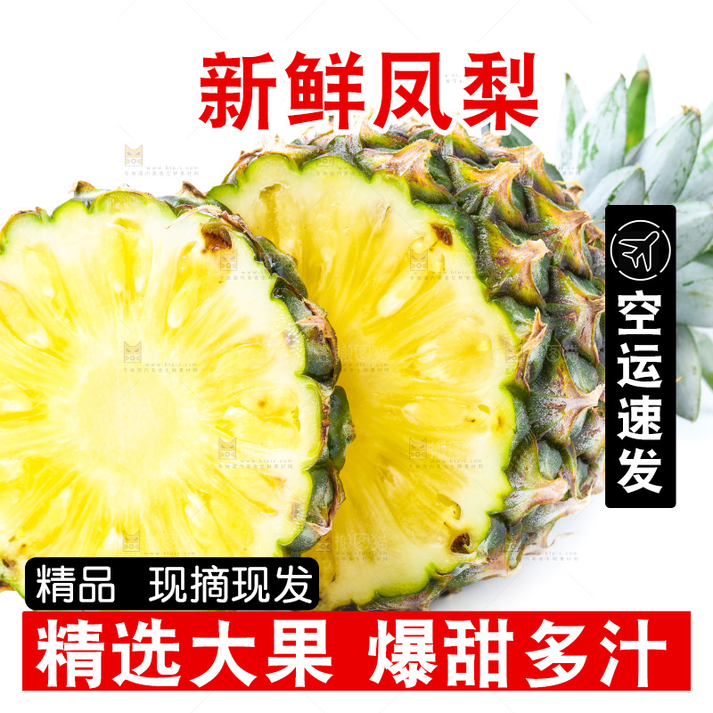 浅底上的海南凤梨