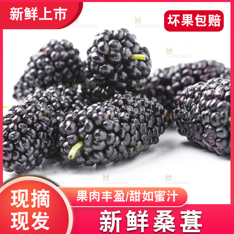 白底上的桑枣