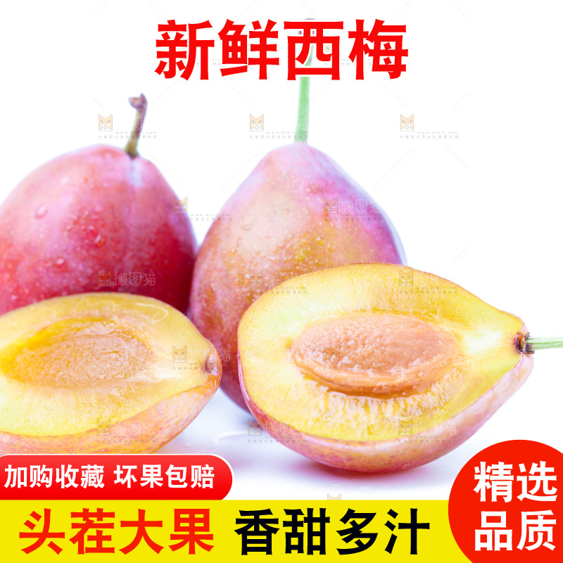 浅底上的新疆西梅
