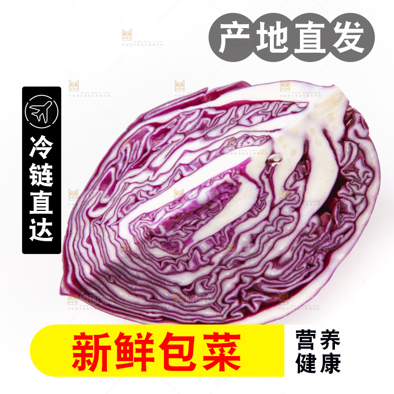白底上放着紫包菜