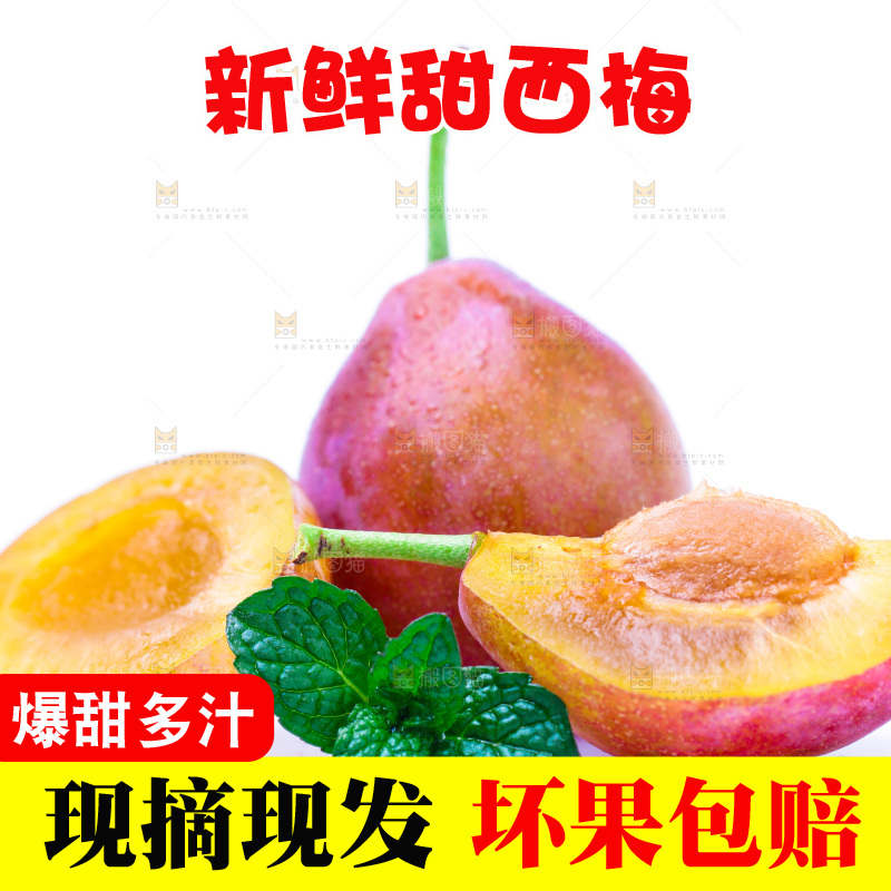 浅底上的新疆西梅