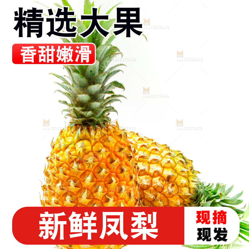 白底上放着金钻凤梨