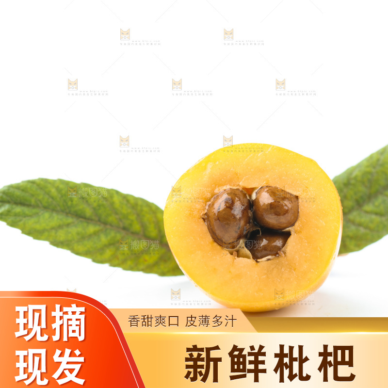 白底上的枇杷