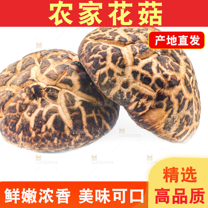 白底上放着花菇