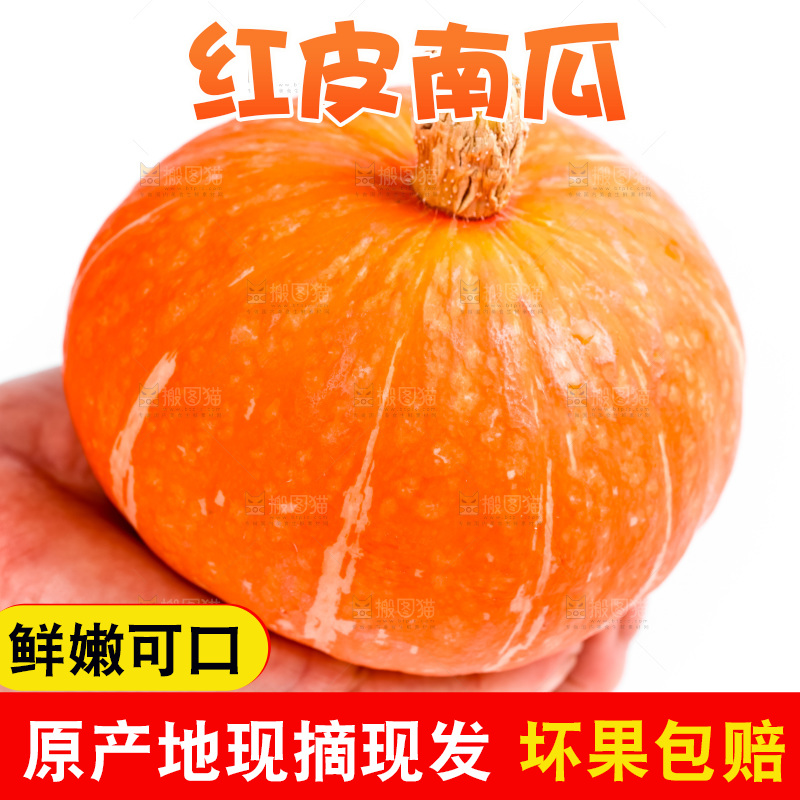 手里拿着南瓜