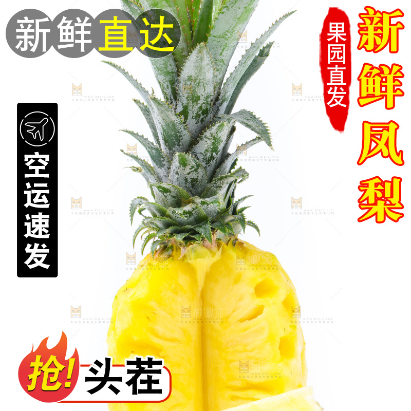白底上的金钻凤梨