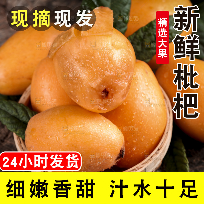 篮子里装着新鲜枇杷
