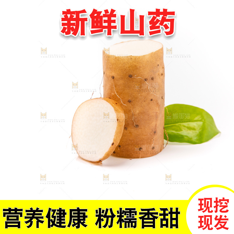 浅底上的新鲜山药