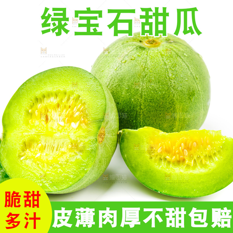 浅底上的山东绿宝石甜瓜