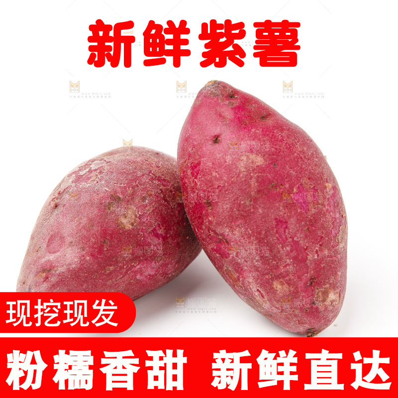 浅底上的小紫薯